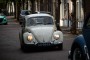 Thumbs/tn_Aircooled Bergharen 2016 097.jpg